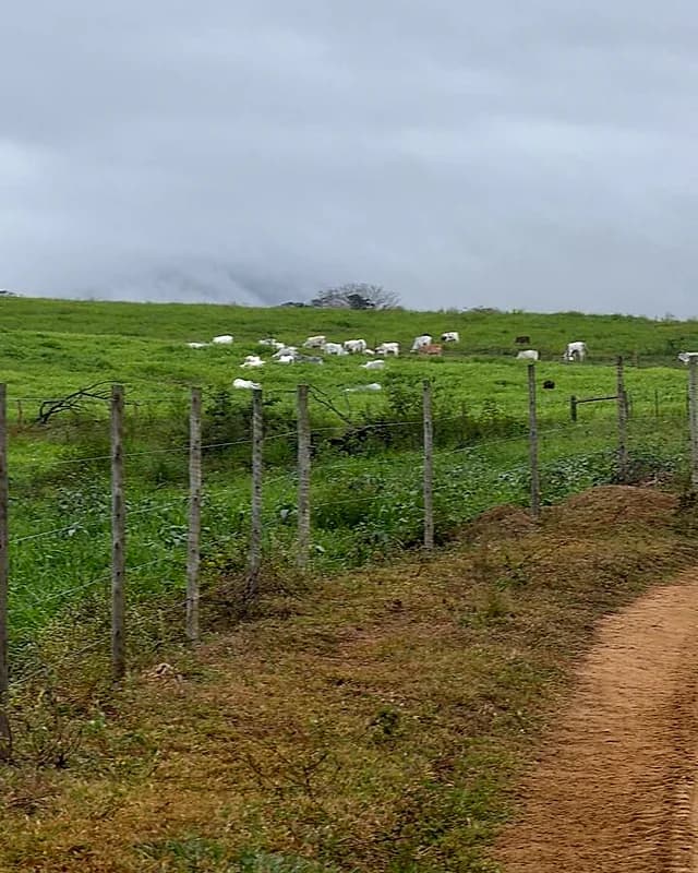 Foto do Instagram da Fazenda Itatiaia