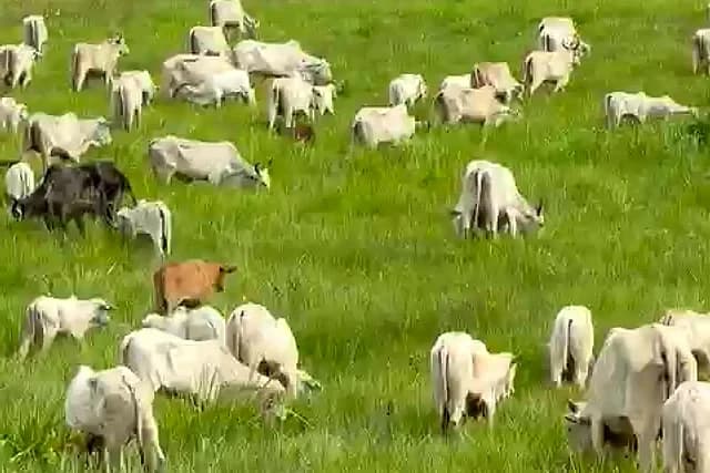 Foto do Instagram da Fazenda Itatiaia