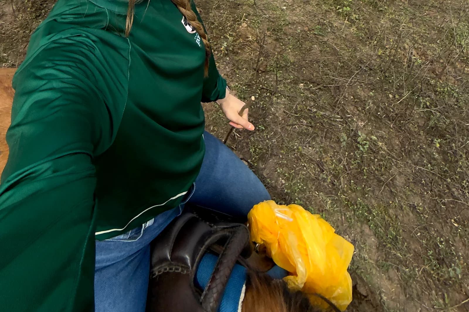 Lida no campo na Fazenda Itatiaia