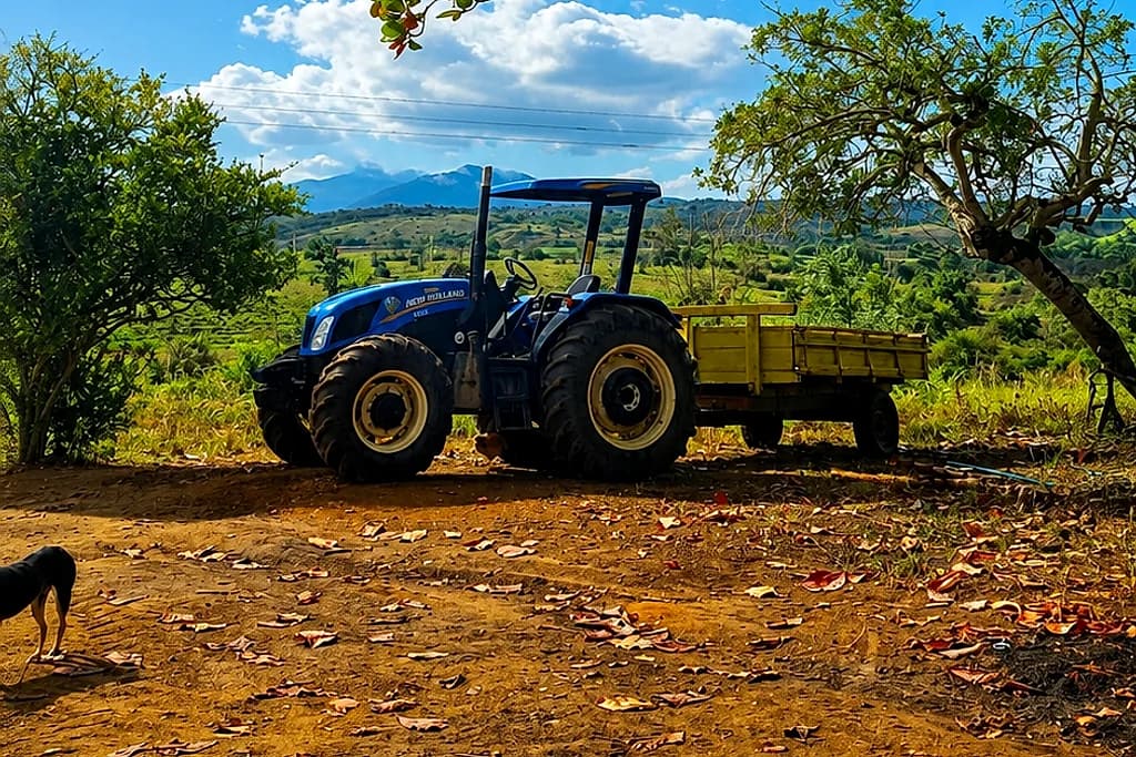 Trabalho de campo na Fazenda Itatiaia